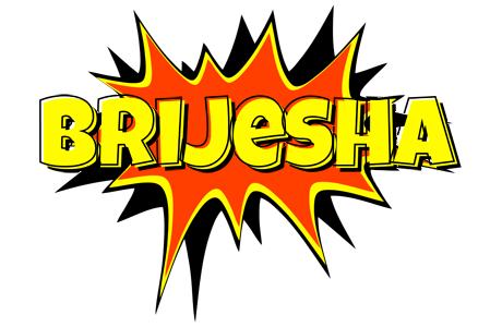 Brijesha bazinga logo