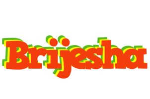 Brijesha bbq logo