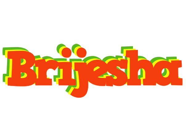 Brijesha bbq logo