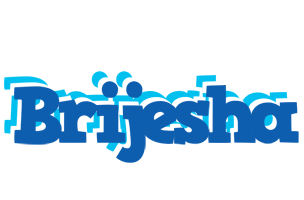 Brijesha business logo