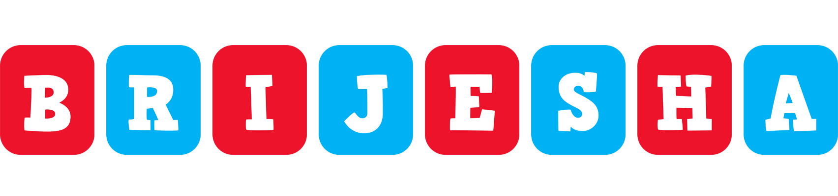 Brijesha diesel logo
