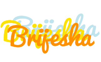 Brijesha energy logo