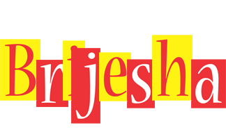 Brijesha errors logo