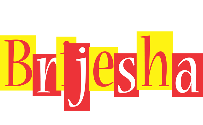 Brijesha errors logo