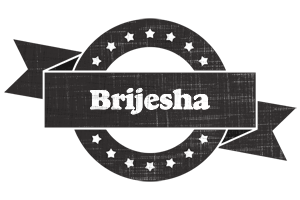 Brijesha grunge logo