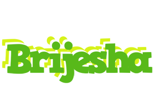 Brijesha picnic logo