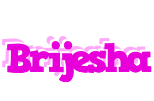 Brijesha rumba logo