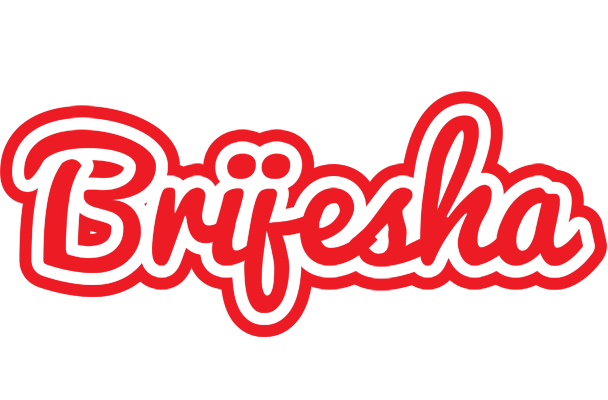Brijesha sunshine logo