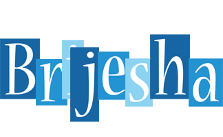 Brijesha winter logo