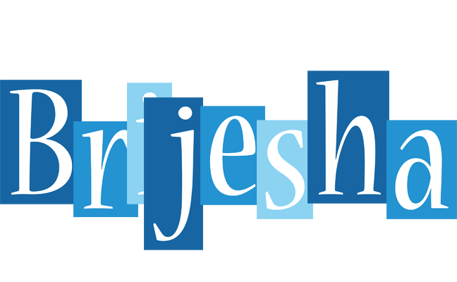 Brijesha winter logo
