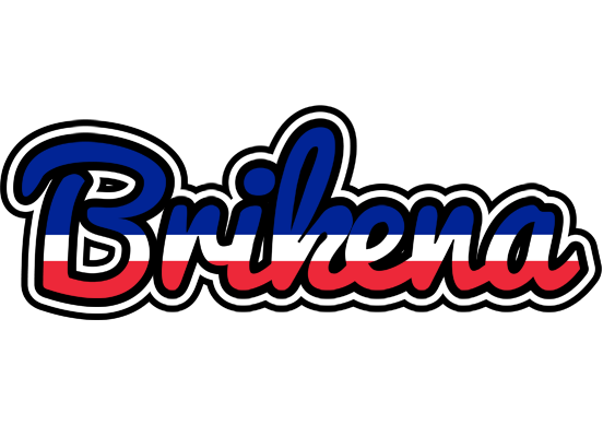 Brikena france logo