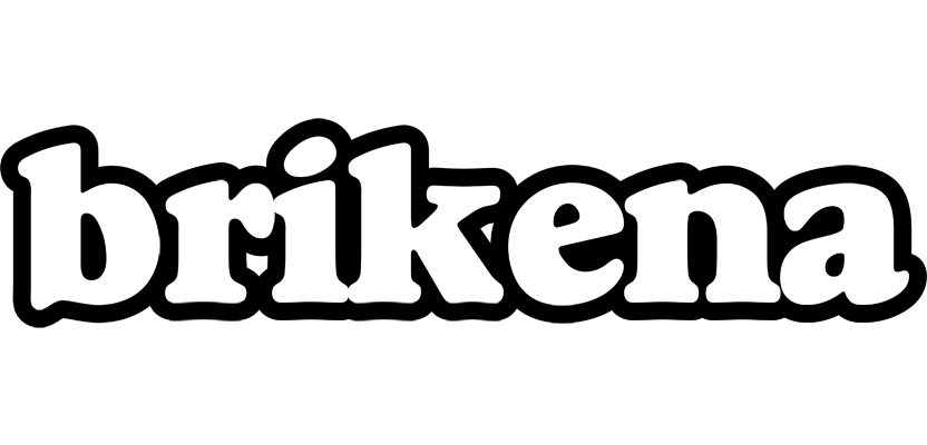 Brikena panda logo