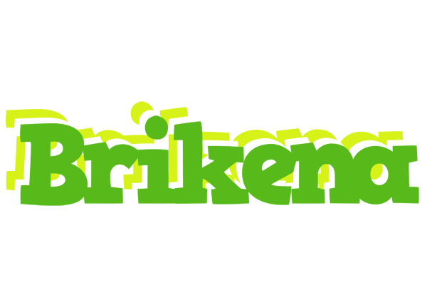 Brikena picnic logo