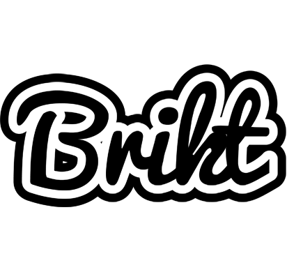 Brikt chess logo