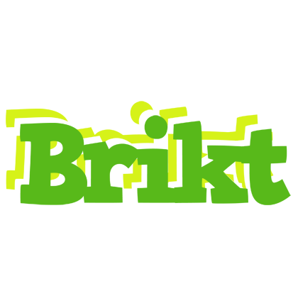 Brikt picnic logo