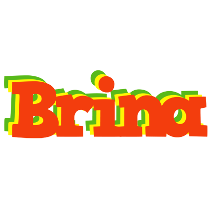 Brina bbq logo