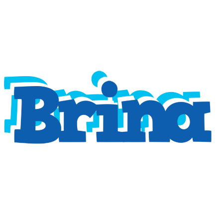 Brina business logo