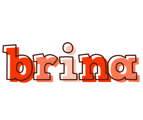Brina paint logo