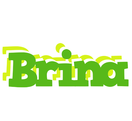 Brina picnic logo