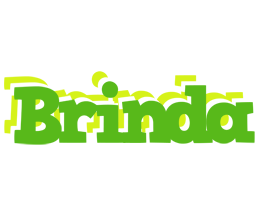 Brinda picnic logo