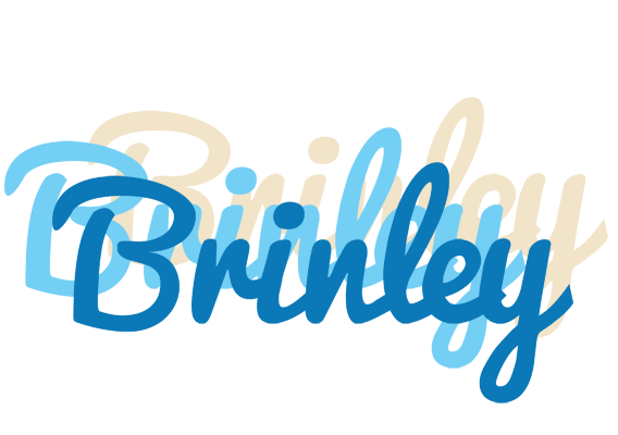 Brinley breeze logo