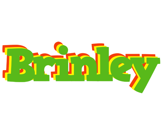Brinley crocodile logo