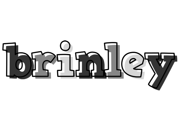 Brinley night logo