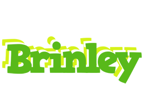 Brinley picnic logo