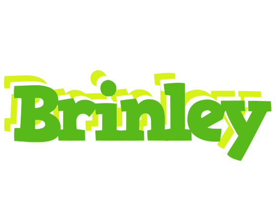 Brinley picnic logo