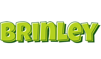 Brinley summer logo