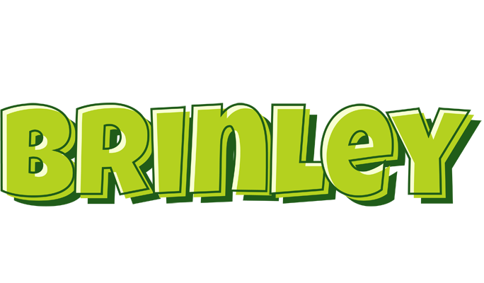 Brinley summer logo