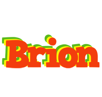 Brion bbq logo