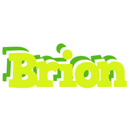Brion citrus logo