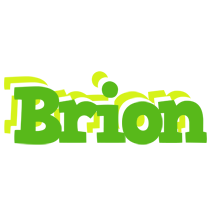 Brion picnic logo