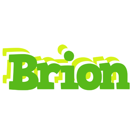 Brion picnic logo
