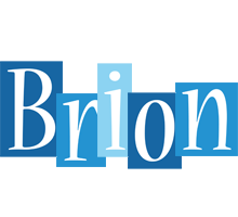 Brion winter logo