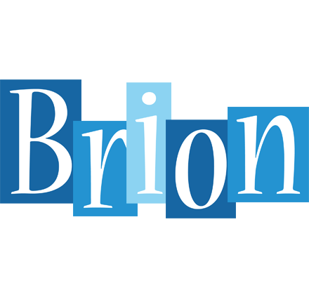 Brion winter logo