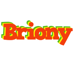 Briony bbq logo