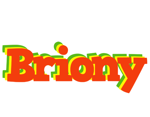 Briony bbq logo