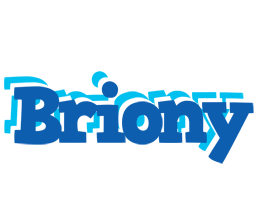 Briony business logo