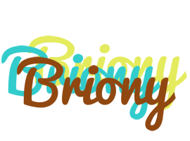 Briony cupcake logo