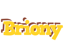 Briony hotcup logo