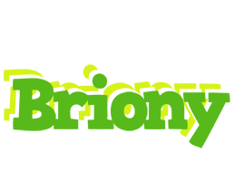 Briony picnic logo