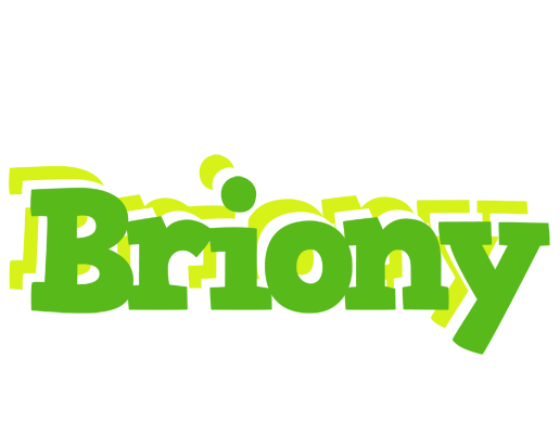 Briony picnic logo