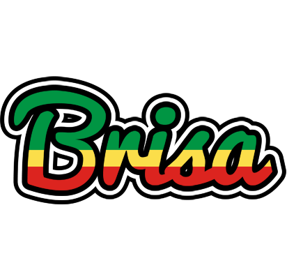 Brisa african logo