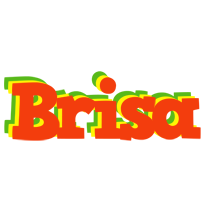 Brisa bbq logo