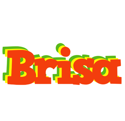 Brisa bbq logo