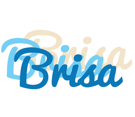 Brisa breeze logo