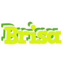 Brisa citrus logo