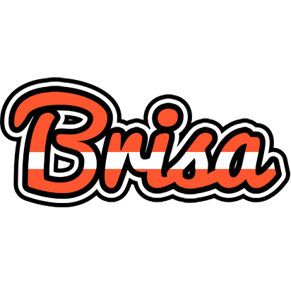 Brisa denmark logo